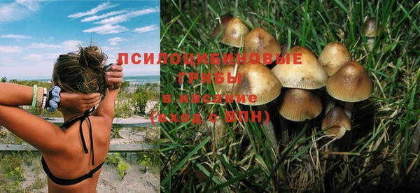 а пвп мука Кодинск