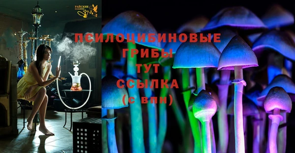 меф Козельск