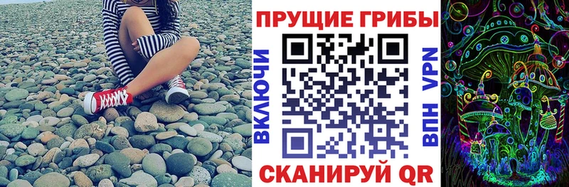 Галлюциногенные грибы мицелий  Купить закладки  Грязовец 